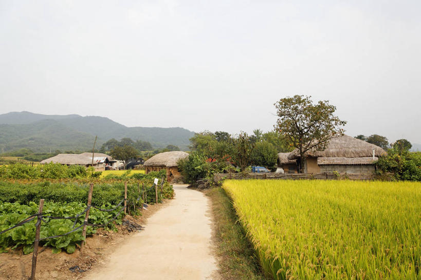 无人,农田,横图,室外,白天,正面,旅游,度假,农业,庄稼,农作物,美景,山,山脉,道路,路,蔬菜,朝鲜,韩国,亚洲,阴影,新鲜,光线,影子,稻田,景观,山峰,小路,食品,交通,山峦,娱乐,食物,蓝色,蓝天,天空,阳光,自然,群山,天,享受,休闲,景色,放松,有机食品,绿色食品,晴朗,自然风光,东亚,万里无云,大韩民国,朝鲜半岛,朝鲜民主主义人民共和国,韩半岛,晴空,晴空万里,彩图,耕地,庄稼田