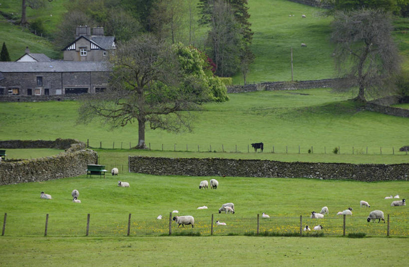 无人,农场,栏杆,站,走,横图,俯视,室外,白天,旅游,度假,畜牧业,牧场,草地,草坪,美景,植物,野生动物,羊,英国,欧洲,许多,栅栏,景观,篱笆,围栏,注视,娱乐,护栏,英格兰,草,树,树木,绿色,自然,动物,观察,看,站着,享受,休闲,景色,放松,可爱,活泼,生长,成长,观看,察看,西欧,关注,自然风光,大不列颠,畜牧,大不列颠及北爱尔兰联合王国,牧业,英吉利,坎布里亚,坎布里亚郡,山羊,步行,散步,站立,走路,彩图,高角度拍摄,全身,行政区,大不列颠王国,大英帝国,联合王国,日不落帝国,西北英格兰