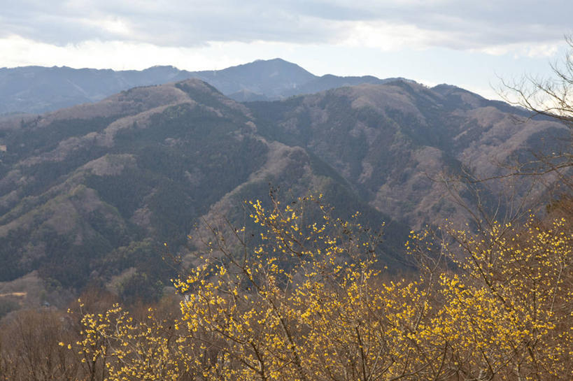 无人,横图,室外,白天,正面,仰视,旅游,度假,石头,美景,森林,山,山脉,树林,植物,日本,亚洲,石子,景观,山顶,山峰,云,云朵,山峦,云彩,娱乐,树,树木,蓝色,绿色,白云,蓝天,天空,自然,群山,天,享受,休闲,景色,放松,生长,晴朗,成长,自然风光,东亚,沉积岩,本州,关东地方,本州岛,日本国,崎玉,崎玉县,颠峰,极峰,水成岩,石块,岩石,晴空,彩图,低角度拍摄,秩父市