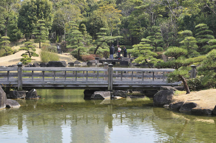 无人,栏杆,横图,室外,白天,正面,旅游,度假,草地,草坪,河流,美景,水,植物,松树,日本,亚洲,木板,河水,景观,水流,围栏,桥,木桥,千叶市,千叶县,娱乐,护栏,栈桥,草,树,树木,绿色,倒影,自然,享受,休闲,景色,放松,生长,成长,人行桥,木板桥,倒映,自然风光,坚定,东亚,本州,关东地方,本州岛,日本国,长寿,县厅,千叶,贞洁,反照,彩图,美滨区