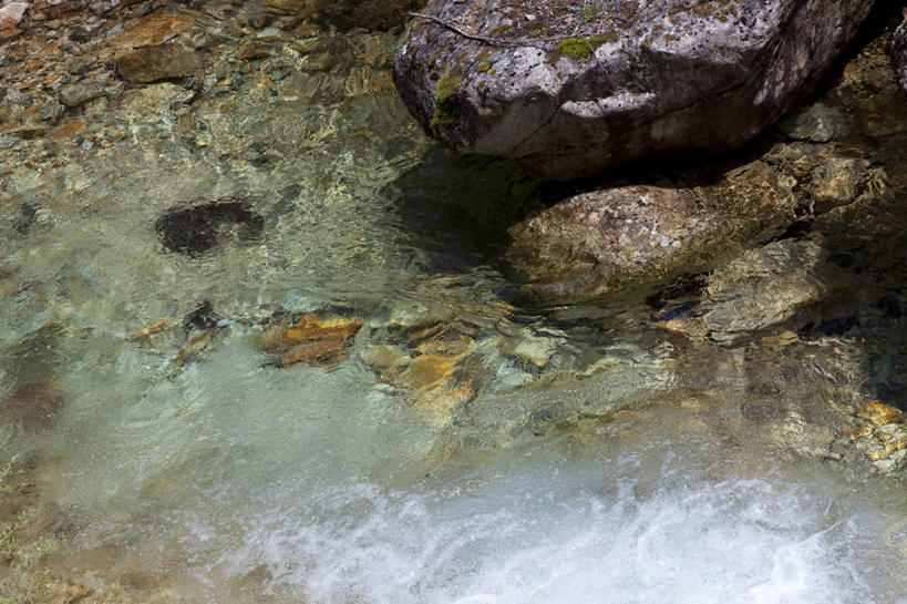 无人,横图,俯视,室外,特写,白天,河流,石头,美景,水,长野县,日本,亚洲,阴影,光线,石子,影子,河水,景观,水流,小溪,阳光,自然,溪水,景色,自然风光,东亚,本州,本州岛,日本国,中部地方,长野,新潟,新潟县,信浓川,石块,彩图,高角度拍摄