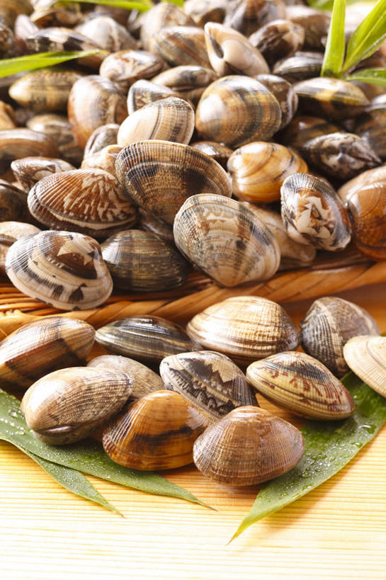 海鲜,无人,竖图,俯视,室内,特写,白天,餐桌,桌子,叶子,一堆,许多,阴影,堆叠,堆积,反射,影子,绿叶,很多,蛤蜊,水产,海洋生物,嫩叶,蛤,餐台,堆,水生动物,海产品,水生物,海底动物,蛤仔,叶,叶片,彩图,高角度拍摄,花蛤,文蛤