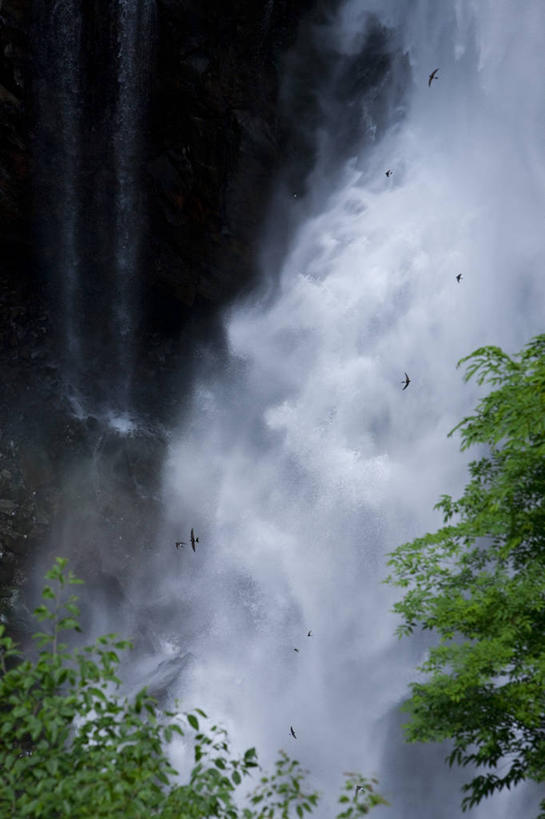 无人,公园,竖图,室外,白天,正面,旅游,度假,石头,美景,瀑布,树林,水,峡谷,植物,日光,日本,亚洲,飞溅,溅,石子,液体,景观,水滴,山谷,娱乐,水珠,树,树木,绿色,自然,享受,休闲,景色,放松,生长,成长,岩层,喷洒,自然风光,东亚,本州,关东地方,本州岛,日本国,栃木,栃木县,群马,群马县,福岛,福岛县,日光市,日光国立公园,华严瀑布,跌水,石块,岩石,彩图