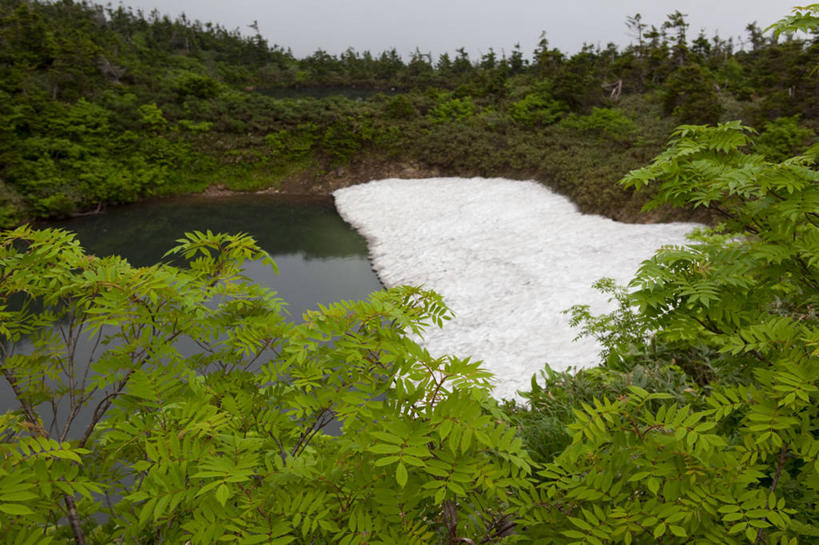 无人,横图,室外,白天,正面,旅游,度假,湖,湖泊,美景,森林,树林,水,雪,植物,大雪,日本,亚洲,阴影,光线,影子,湖面,积雪,景观,水流,水面,雪景,冬季,冬天,娱乐,树,树木,蓝色,绿色,蓝天,天空,阳光,自然,湖水,天,享受,休闲,景色,放松,寒冷,生长,晴朗,成长,自然风光,东亚,本州,万里无云,本州岛,日本国,岩手,岩手县,东北地方,严寒,八幡平市,晴空,晴空万里,彩图