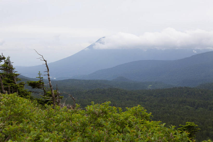 无人,横图,俯视,室外,白天,旅游,度假,美景,森林,山,山脉,树林,植物,日本,亚洲,阴影,光线,影子,景观,山峰,云,云朵,山峦,云彩,娱乐,树,树木,蓝色,绿色,白云,蓝天,天空,阳光,自然,群山,天,享受,休闲,景色,放松,生长,晴朗,成长,自然风光,东亚,本州,本州岛,日本国,岩手,岩手县,东北地方,八幡平市,晴空,彩图,高角度拍摄