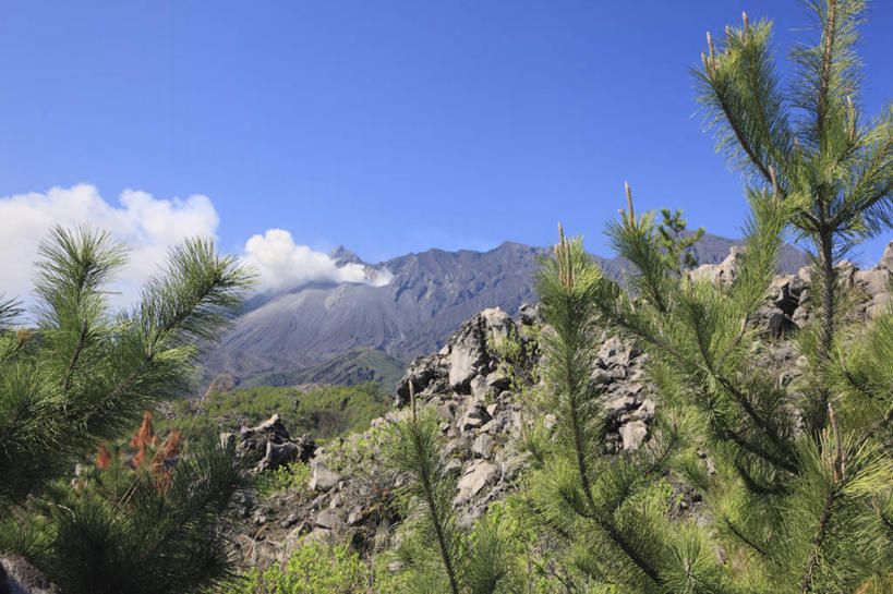 无人,横图,室外,白天,仰视,旅游,度假,火山,石头,美景,山,山脉,松树,鹿儿岛,日本,亚洲,阴影,光线,石子,影子,景观,山峰,云,云朵,山峦,喷发,云彩,娱乐,蓝色,白云,蓝天,天空,阳光,自然,群山,天,享受,休闲,景色,放松,晴朗,自然风光,坚定,爆发,火山爆发,火山喷发,东亚,日本国,九州本岛,九州,九州岛,九州地方,鹿儿岛县,长寿,贞洁,暴发,地壳运动,地质现象,活火山,石块,岩石,晴空,彩图,低角度拍摄