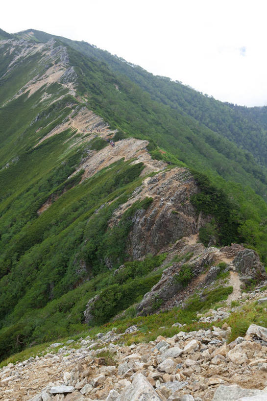 无人,竖图,室外,白天,正面,旅游,度假,美景,山,山脉,树林,植物,长野县,日本,亚洲,阴影,新鲜,光线,影子,景观,山峰,云,云朵,山峦,云彩,娱乐,树,树木,蓝色,绿色,白云,蓝天,天空,阳光,自然,群山,天,享受,休闲,景色,放松,生长,晴朗,成长,青春,生命,自然风光,和平,安详,东亚,本州,本州岛,日本国,中部地方,长野,冷色,安昙野,安昙野市,晴空,彩图