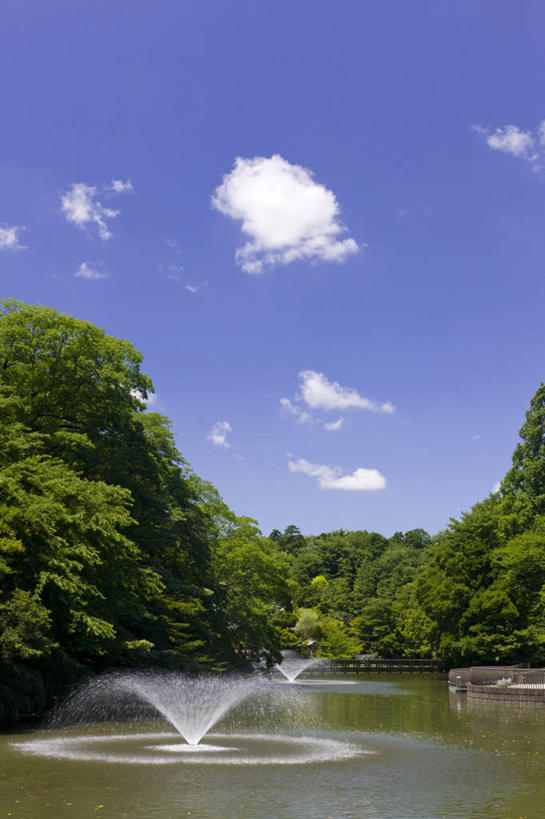 无人,竖图,室外,白天,正面,度假,湖,湖泊,美景,树林,水,植物,城市风光,城市,喷泉,东京,日本,亚洲,阴影,飞溅,溅,光线,液体,影子,湖面,景观,水滴,水流,水面,云,云朵,云彩,文化,娱乐,水珠,树,树木,蓝色,绿色,白云,蓝天,天空,阳光,自然,湖水,天,品味,享受,休闲,景色,放松,生长,晴朗,成长,喷洒,水景,东亚,本州,关东地方,本州岛,日本国,东京都,美观,设计,晴空,彩图,多摩地方,多摩地区,多摩地域,三多摩,井之头恩赐公园,井之头公园,三鹰市