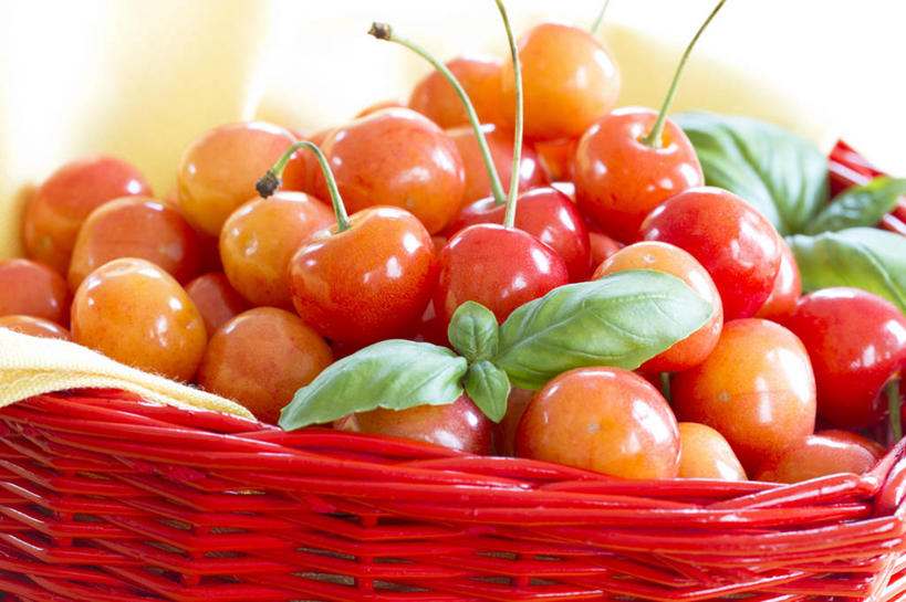 无人,交叉,横图,俯视,室内,特写,白天,爱情,植物,餐桌,桌子,竹子,樱桃,水果,叶子,一堆,许多,阴影,堆叠,堆积,花纹,竹制,爱心,新鲜,编织,反射,布,篮子,图案,影子,生食,香料,食品,果实,绿叶,草药,篮,很多,浪漫,布纹,中药,食物,一个,红色,香草,温暖,温馨,心形,嫩叶,恩爱,有机食品,绿色食品,单个,餐台,竹条,堆,布匹,交织,罗勒,和睦,竹制品,紫苏,药材,中草药,九层塔,圣约瑟夫草,甜罗勒,兰香,中药材,本草,穿插,心型,叶,叶片,樱珠,莺桃,英桃,楔桃,牛桃,荆桃,彩图,高角度拍摄,融洽