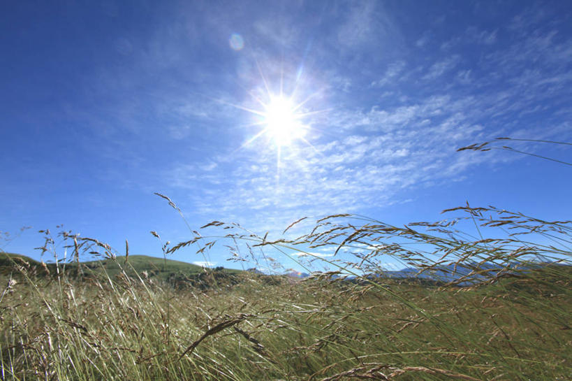 无人,横图,室外,白天,正面,旅游,度假,美景,植物,长野县,日本,亚洲,阴影,枯萎,光线,影子,景观,云,云朵,枯草,芒草,云彩,娱乐,草,黄色,蓝色,白云,蓝天,天空,阳光,自然,天,享受,休闲,景色,放松,晴朗,自然风光,东亚,五节芒,本州,本州岛,日本国,中部地方,长野,诹访,诹访市,管草,管芒,寒芒,晴空,彩图