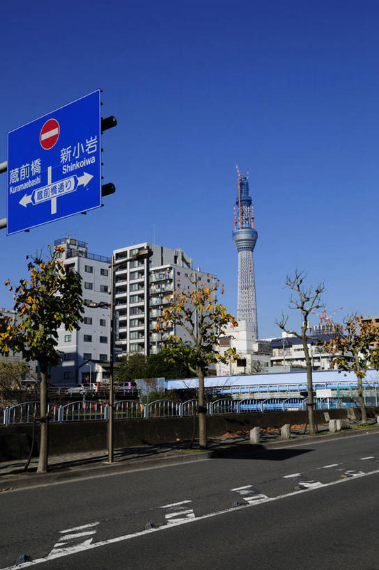 无人,高楼大厦,竖图,室外,白天,仰视,度假,美景,植物,城市风光,标志建筑,城市,大厦,地标,建筑,摩天大楼,东京,日本,亚洲,阴影,光线,影子,景观,枝条,娱乐,建设,树,树木,树枝,蓝色,绿色,蓝天,天空,阳光,自然,天,享受,休闲,景色,放松,生长,晴朗,成长,东亚,本州,万里无云,关东地方,本州岛,日本国,东京都,墨田区,天空树塔,虬枝,枝杈,晴空,晴空万里,彩图,低角度拍摄,大楼,高层建筑,高楼,摩天楼,东京晴空塔,东京天空树,墨田塔,新东京铁塔