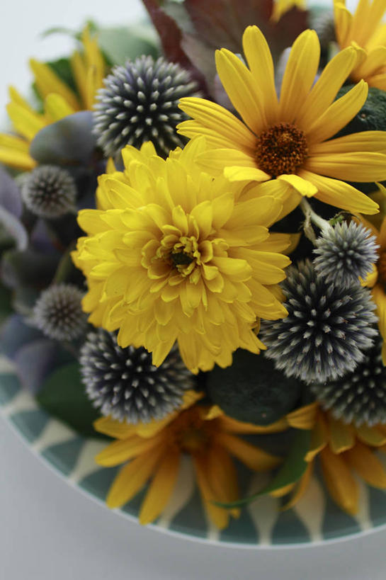 无人,竖图,俯视,室内,特写,白天,自由,幸福,餐具,阴影,朦胧,模糊,盛开,反射,碟子,盘,影子,波斯菊,花蕾,花,花瓣,花朵,鲜花,黄色,盘子,碟,花苞,花蕊,清洁,菊花,大波斯菊,吉祥,高洁,秋英,格桑花,秋樱,扫帚梅,八瓣梅,初恋,多情,蓝刺头,彩图,高角度拍摄,驴欺口,时光