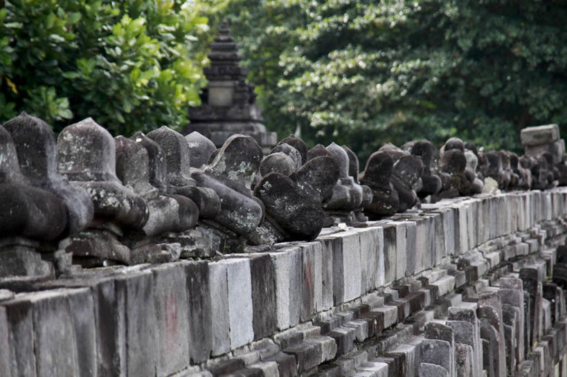 无人,横图,室外,白天,正面,旅游,度假,名胜古迹,树林,植物,标志建筑,地标,建筑,雕塑,印度尼西亚,印尼,亚洲,一排,许多,遗迹,艺术,整齐,装饰,雕刻,雕像,建筑群,很多,古迹,文物,娱乐,建设,古建筑,石雕,树,树木,排列,绿色,自然,工艺品,享受,休闲,旅游胜地,放松,东南亚,生长,成长,纪念,美术,队列,主题,陈列,古文明,印度尼西亚共和国,功能,美学,爪哇,爪哇岛,巴兰班南,拔兰班南寺,普兰巴南寺庙群,日惹,彩图