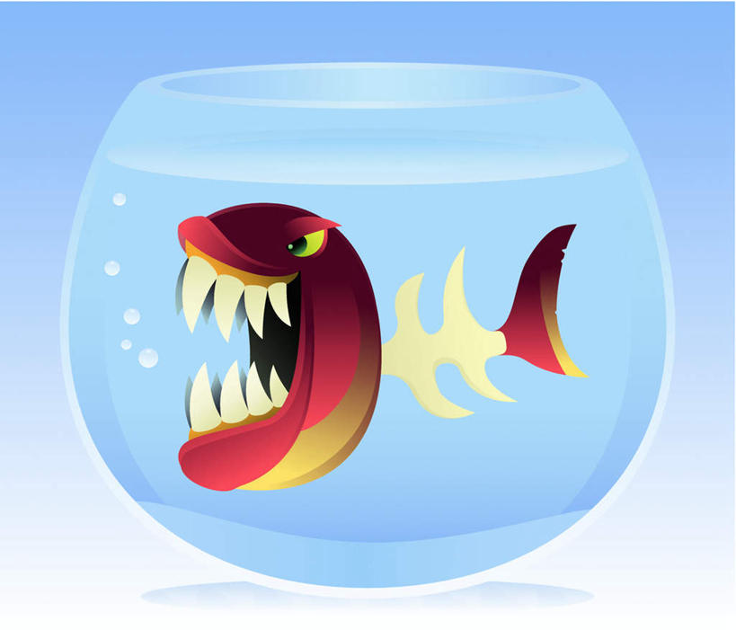 游泳,海鲜,骨骼,无人,横图,插画,室内,白天,侧面,数码,科技,玻璃,一条,阴影,网络,鱼,鱼缸,骨头,高光,几何,计算机图形,合成,图画,水产,鱼类,海洋生物,玻璃制品,画,张嘴,电脑合成图,数码合成图,骨架,水生动物,海产品,水生物,漫画,张大嘴巴,海底动物,鱼刺,写实,具体,具象,泅水,张开嘴,彩图,全身