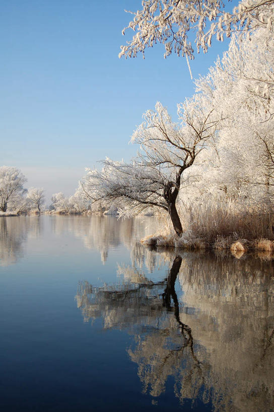 无人,竖图,室外,白天,正面,旅游,度假,湖,湖泊,美景,树林,水,植物,德国,欧洲,阴影,光线,影子,冰,湖面,景观,水流,水面,娱乐,树,树木,蓝色,绿色,蓝天,天空,阳光,自然,浮冰,湖水,天,享受,休闲,景色,放松,寒冷,生长,晴朗,成长,冰冷,西欧,自然风光,万里无云,德意志联邦共和国,严寒,冰凉,酷寒,凛冽,凛凛,极冷,流冰,浮冰块,晴空,晴空万里,彩图