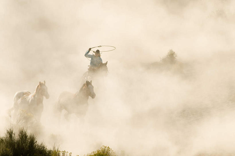 西方人,手,一个人,跑,横图,室外,白天,正面,锻炼,旅游,度假,运动,美景,雾,马,野生动物,欧洲,欧洲人,仅一个年轻女性,仅一个女性,仅一个人,三只,骑马,握,朦胧,模糊,景观,拿,拿着,娱乐,自然,动物,绳子,享受,休闲,辫子,手部,景色,放松,握着,运输,牲畜,绳索,迷雾,自然风光,体育,年轻女性,女人,女性,白种人,大雾,跑步,彩图,全身,健身