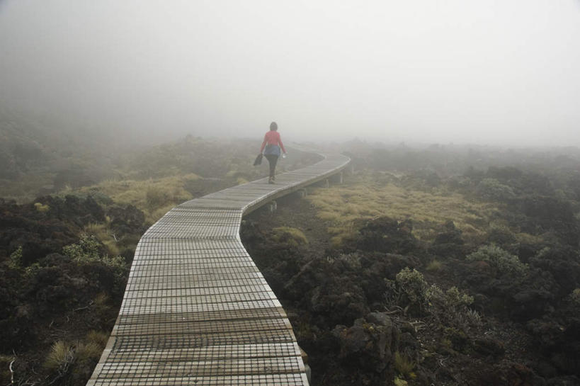 西方人,手,一个人,站,走,横图,室外,白天,旅游,度假,美景,日落,树林,植物,雾,欧洲,新西兰,欧洲人,仅一个女性,仅一个人,握,服装,朦胧,模糊,包,木板,书包,景观,晚霞,霞光,落日,桥,木桥,拿,拿着,休闲装,娱乐,栈桥,树,树木,背面,衣服,蓝色,绿色,蓝天,天空,自然,黄昏,背包,天,站着,仅一个中年女性,享受,休闲,手部,休闲服,景色,彩霞,放松,握着,服饰,生长,成长,人行桥,木板桥,迷雾,自然风光,大洋洲,纽西兰,长白云之乡,夕照,女人,女性,中年女性,白种人,大雾,夕阳,步行,散步,站立,走路,彩图,全身,斜阳,双肩包