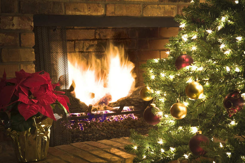 无人,横图,室内,白天,正面,热情,植物,壁炉,火,照明,圣诞节,节日,庆祝,火焰,墙,灯光,圣诞树,燃烧,文化,墙壁,墙面,灯,树,树木,绿色,自然,灯具,庆典,射灯,生长,成长,纪念,照亮,照明设备,彩图