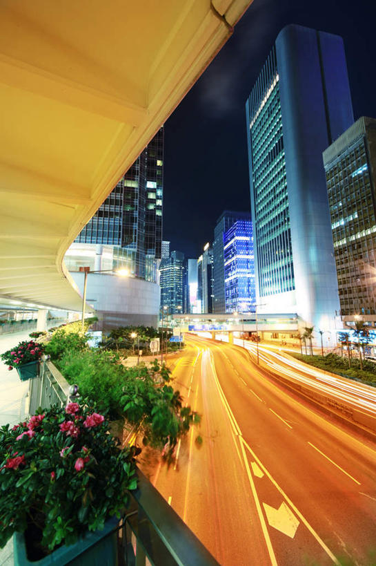 无人,高楼大厦,竖图,室外,夜晚,正面,长时间曝光,度假,美景,城市风光,城市,大厦,道路,建筑,摩天大楼,盛开,景观,花蕾,娱乐,花,花瓣,花朵,鲜花,黄色,花苞,花蕊,享受,休闲,景色,放松,图标,曝光,彩图,大楼,高层建筑,高楼,摩天楼