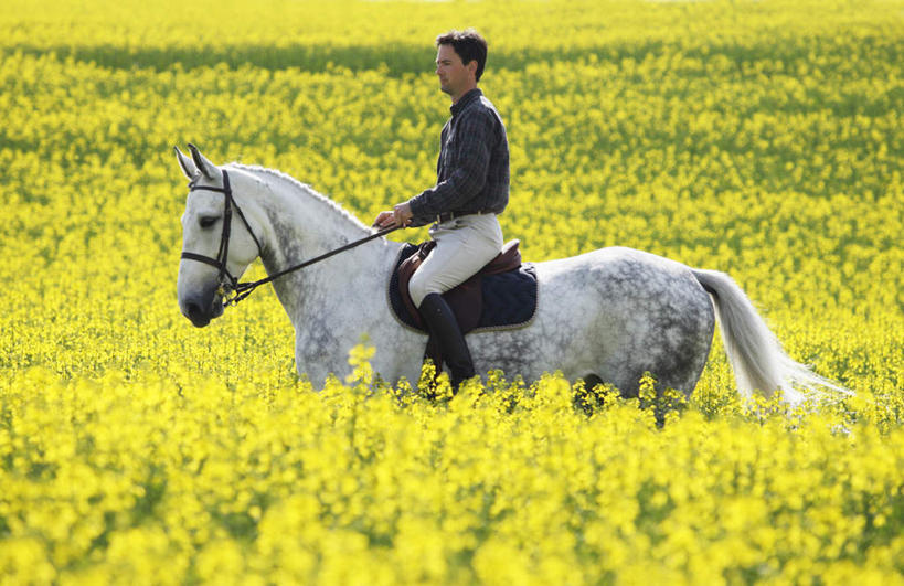 西方人,一个人,坐,横图,室外,白天,侧面,旅游,度假,花海,花圃,美景,植物,马,野生动物,叶子,欧洲,欧洲人,仅一个男性,仅一个人,盛开,景观,花蕾,注视,娱乐,一匹,花,花瓣,花朵,花卉,鲜花,仅一个年轻男性,黄色,绿色,白色,自然,动物,花丛,花束,花田,花苞,花蕊,油菜花,观察,看,享受,休闲,景色,放松,运输,牲畜,观看,察看,操作,关注,自然风光,驾驭,把持,驾御,把握,男人,男性,年轻男性,白种人,坐着,彩图,全身,芸苔,芸薹