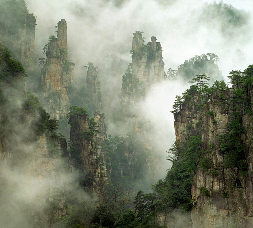 无人,公园,横图,俯视,室外,白天,旅游,度假,石头,美景,山,植物,雾,松树,张家界,中国,亚洲,朦胧,模糊,石子,景观,山顶,山峰,山峦,娱乐,树,树木,绿色,自然,享受,休闲,景色,放松,生长,成长,迷雾,自然风光,坚定,东亚,湖南,湖南省,森林公园,张家界国家森林公园,中华人民共和国,长寿,贞洁,华中地区,湘,张家界市,颠峰,极峰,石块,岩石,大雾,彩图,高角度拍摄