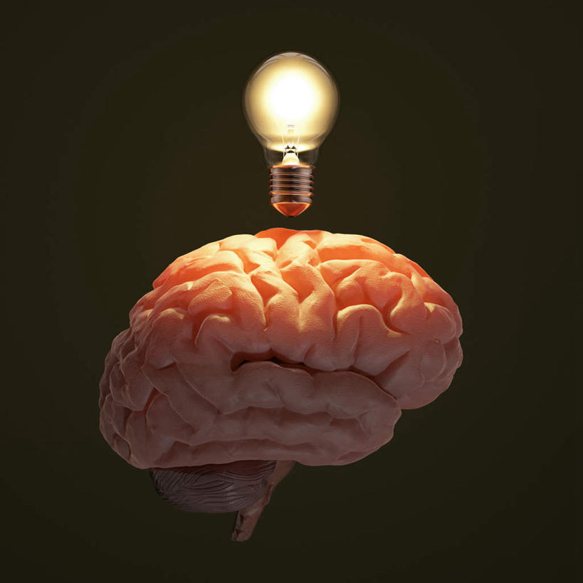 方图,室内,白天,正面,照明,大脑,灯泡,灯,一个,灯具,白炽灯,单个,照亮,器官,沟壑,照明工具,小脑,脑干,白炽灯泡,大脑皮层,端脑,沟,灰质,回,间脑,半身,彩图