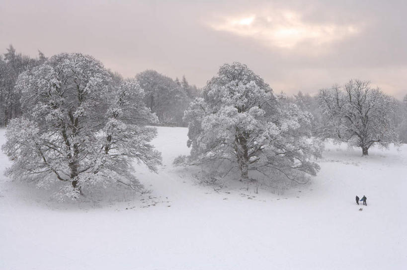 无人,横图,室外,白天,正面,旅游,度假,美景,雪,植物,雾,大雪,英国,欧洲,圣诞节,覆盖,节日,朦胧,模糊,庆祝,围绕,光线,积雪,景观,雪景,冬季,冬天,朝霞,晨曦,黎明,文化,娱乐,英格兰,车,树,树木,绿色,天空,阳光,自然,交通工具,天,庆典,享受,休闲,景色,放松,寒冷,缭绕,生长,成长,纪念,雪橇,迷雾,西欧,自然风光,载具,雪橇车,大不列颠,旋绕,遮盖,大不列颠及北爱尔兰联合王国,严寒,大不列颠联合王国,日不落英帝国,萦绕,笼罩,礼物车,笼盖,英吉利,回绕,朝阳,大雾,彩图,破晓