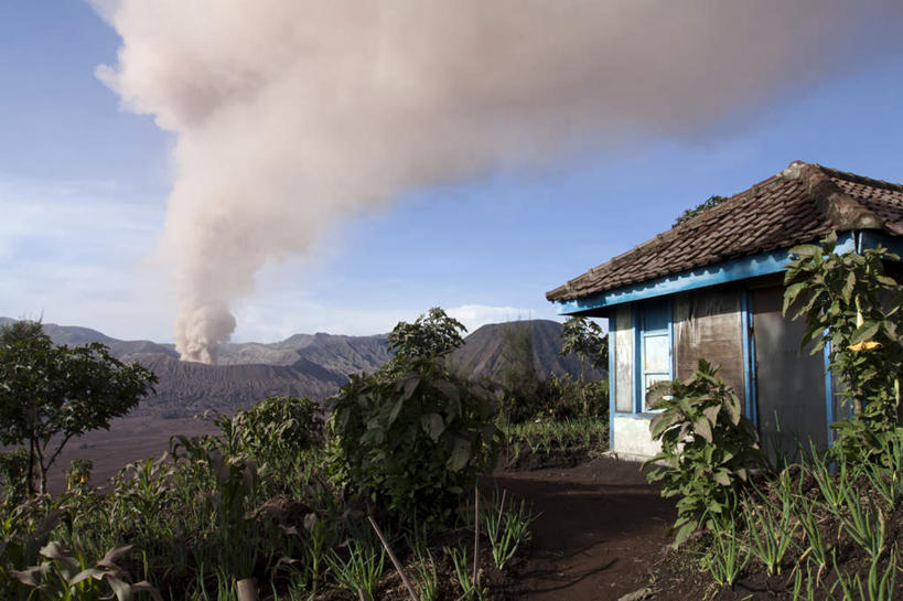无人,家,横图,室外,白天,正面,度假,火山,石头,美景,山,山脉,植物,城市风光,城市,叶子,印度尼西亚,印尼,亚洲,阴影,光线,石子,影子,房屋,屋子,景观,泥土,山峰,土壤,烟雾,绿叶,山峦,娱乐,楼房,住宅,蓝色,绿色,蓝天,天空,阳光,自然,群山,天,享受,休闲,嫩叶,景色,放松,东南亚,生长,晴朗,成长,沉积岩,万里无云,印度尼西亚共和国,千岛之国,婆罗摩火山,水成岩,叶,叶片,活火山,石块,死火山,休眠火山,岩石,晴空,晴空万里,彩图,房子