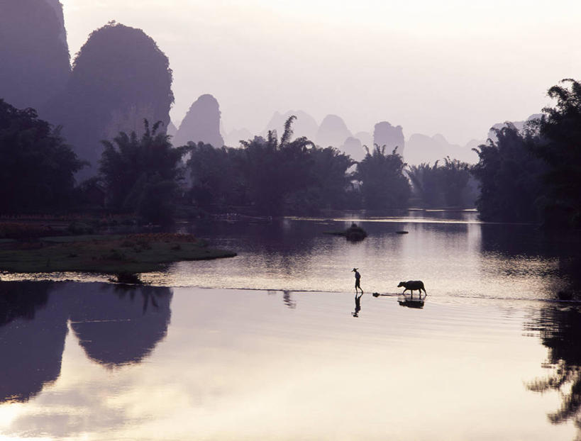 东方人,一个人,走,拉,横图,俯视,室外,白天,日出,河流,山,山脉,水,太阳,植物,雾,牛,桂林,中国,亚洲,仅一个男性,仅一个人,仅一个中年男性,一头,握,服装,朦胧,模糊,河水,山峰,水流,朝霞,晨曦,黎明,山峦,休闲装,黄种人,树,树木,衣服,绿色,阳光,自然,动物,绳子,群山,休闲,休闲服,家畜,握着,服饰,牲畜,生长,成长,广西,绳索,迷雾,东亚,漓江,阳朔,广西壮族自治区,中华人民共和国,桂林市,桂,华南地区,阳朔县,男人,男性,中年男性,亚洲人,朝阳,大雾,步行,散步,走路,彩图,高角度拍摄,全身,卯时,破晓,日始,遇龙河