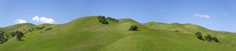 无人,农场,横图,室外,白天,正面,旅游,度假,畜牧业,牧场,草地,草坪,美景,植物,美国,阴影,光线,影子,景观,云,云朵,云彩,娱乐,草,树,树木,蓝色,绿色,白云,蓝天,天空,阳光,自然,天,享受,休闲,景色,放松,生长,晴朗,成长,北美,北美洲,加利福尼亚,自然风光,美洲,加州,畜牧,加利福尼亚州,金州,黄金州,牧业,北亚美利加洲,亚美利加洲,马林县,晴空,彩图,美利坚合众国