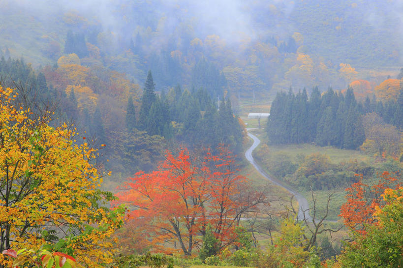 无人,横图,俯视,室外,白天,旅游,度假,美景,秋季,森林,山,山脉,树林,植物,雾,道路,路,叶子,朦胧,模糊,曲折,弯曲,景观,山峰,小路,枯叶,落叶,交通,山峦,娱乐,树,树木,绿色,自然,群山,享受,休闲,景色,放松,蜿蜒,乡间小路,生长,成长,迷雾,自然风光,叶,叶片,大雾,秋,秋天,彩图,高角度拍摄