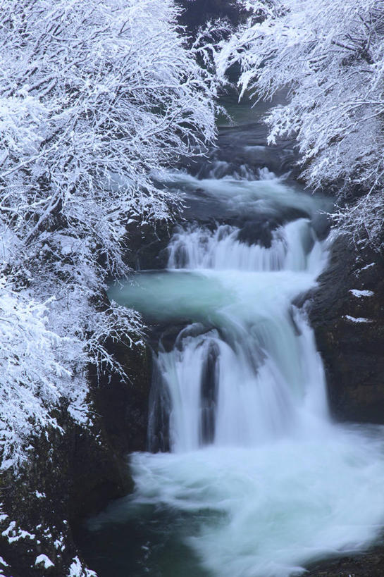 无人,竖图,室外,白天,正面,旅游,度假,石头,美景,瀑布,水,雪,植物,大雪,飞溅,溅,石子,液体,积雪,景观,水滴,悬崖,雪景,冬季,冬天,枝条,娱乐,水珠,树,树木,树枝,绿色,自然,享受,休闲,景色,放松,寒冷,生长,成长,喷洒,自然风光,严寒,绝壁,虬枝,枝杈,跌水,石块,岩石,彩图