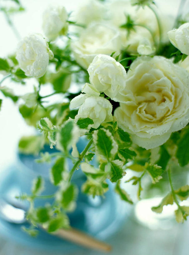 无人,竖图,俯视,室内,特写,白天,智慧,水,桌面,桌子,花瓶,许多,阴影,朦胧,模糊,艺术,装饰,盛开,反射,液体,影子,水滴,薄荷,银丹草,很多,花蕾,文化,玻璃制品,花,花瓣,花朵,鲜花,白色,插花,玻璃瓶,瓶子,花苞,花蕊,华丽,修饰,插花艺术,点缀,创造,创作,想象,衬托,美观,雅致,雅观,斑叶凤梨薄荷,夜息香,彩图,高角度拍摄,凤梨薄荷