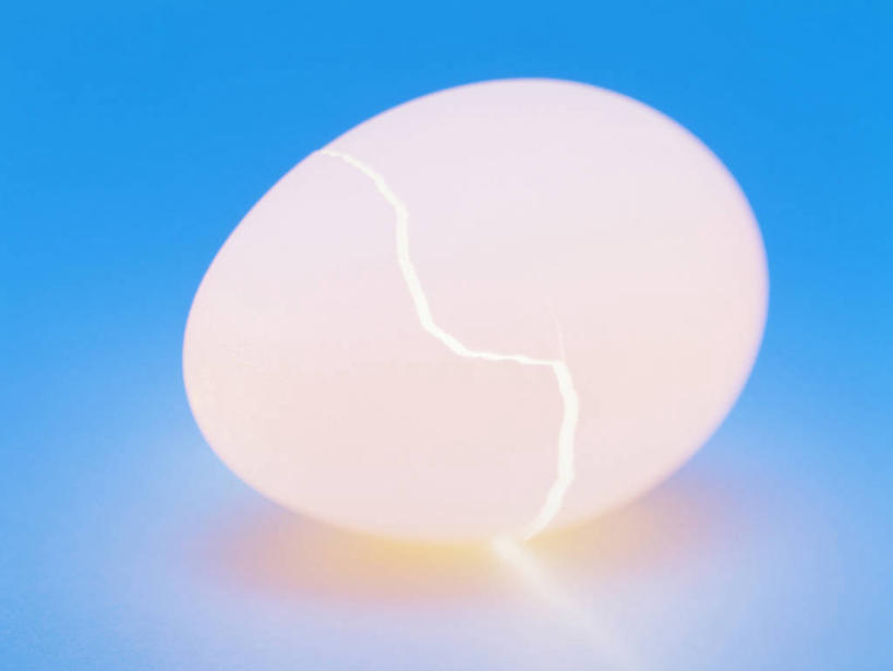 无人,横图,室内,特写,白天,正面,阴影,蓝色背景,光线,影子,灯光,蛋,一个,剥开,摄影,影棚,单个,卵,彩图,影棚拍摄,拍摄