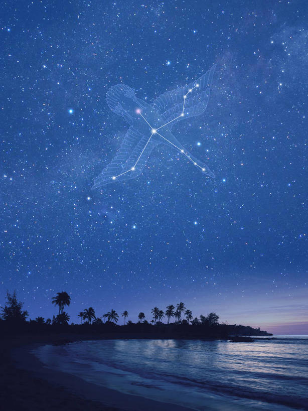 无人,竖图,室内,夜晚,正面,数码,宇宙,科技,海浪,海洋,沙滩,星空,植物,夜景,棕榈树,叶子,夏威夷,美国,阴影,网络,沙子,海岸,浪花,绿叶,沙地,高光,几何,计算机图形,合成,树,树木,绿色,自然,海水,嫩叶,星座,生长,成长,电脑合成图,数码合成图,北美,北美洲,合成图,天文,占卜,美洲,海景,棕榈叶,天文学,夏威夷州,爱洛哈之州,写实,具体,具象,北亚美利加洲,亚美利加洲,星相,占星,天鹅座,叶,叶片,大海,风浪,海,海水的波动,海滩,近岸浪,涌浪,星夜,夜空,棕树,棕榈,彩图,美利坚合众国