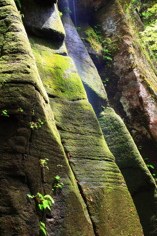 无人,竖图,室外,白天,正面,旅游,度假,美景,瀑布,山,山脉,水,日本,亚洲,阴影,飞溅,溅,光线,液体,影子,景观,山峰,水滴,青苔,苔藓,山峦,娱乐,水珠,阳光,自然,群山,享受,休闲,景色,放松,喷洒,自然风光,东亚,本州,三重县,本州岛,日本国,近畿地方,近畿,三重,跌水,彩图,名张市