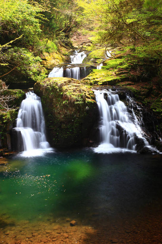 无人,竖图,室外,白天,正面,旅游,度假,湖,湖泊,石头,美景,瀑布,树林,水,峡谷,植物,日本,亚洲,飞溅,溅,石子,液体,湖面,景观,水滴,水流,水面,山谷,娱乐,水珠,树,树木,绿色,自然,湖水,享受,休闲,景色,放松,生长,成长,岩层,喷洒,自然风光,东亚,本州,三重县,本州岛,日本国,近畿地方,近畿,三重,跌水,石块,岩石,彩图,名张市