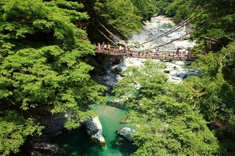 无人,横图,室外,白天,正面,旅游,度假,河流,石头,美景,树林,水,峡谷,植物,日本,亚洲,阴影,光线,石子,影子,河水,景观,水流,桥,山谷,娱乐,树,树木,绿色,阳光,自然,享受,休闲,景色,放松,吊桥,生长,成长,人行桥,悬索桥,岩层,自然风光,吊杆,东亚,德岛县,日本国,四国地方,四国,四国岛,徳岛,锚锭,悬索,石块,岩石,彩图,三好市