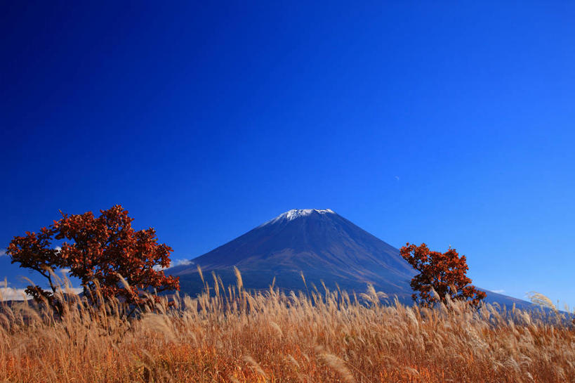 无人,横图,室外,白天,正面,旅游,度假,草地,草原,草坪,美景,山,山脉,树林,植物,静冈县,日本,亚洲,阴影,枯萎,光线,影子,荒野,景观,旷野,山峰,热带,山峦,娱乐,草,树,树木,蓝色,绿色,蓝天,天空,阳光,自然,群山,天,享受,休闲,景色,放松,生长,晴朗,成长,死亡,自然风光,原野,荒原,东亚,本州,万里无云,本州岛,日本国,中部地方,静冈,富士宫,枯败,晴空,晴空万里,彩图