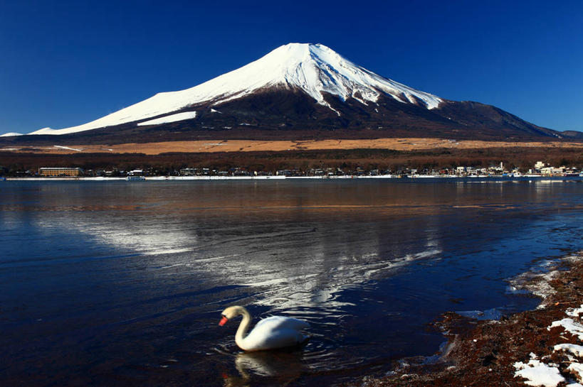 无人,横图,室外,白天,正面,旅游,度假,火山,河流,美景,山,水,雪,雪山,植物,大雪,富士山,日本,亚洲,阴影,枯萎,光线,影子,冰,河水,积雪,景观,山峰,水流,雪景,冬季,冬天,枯草,山峦,娱乐,草,黄色,蓝色,倒影,蓝天,天空,阳光,自然,天,享受,休闲,景色,放松,寒冷,晴朗,淡水湖,冰冷,倒映,自然风光,东亚,本州,万里无云,本州岛,日本国,中部地方,山梨,山梨县,严寒,冰凉,酷寒,凛冽,凛凛,极冷,富士五湖,山中湖,反照,活火山,晴空,晴空万里,彩图,南都留郡,富士河口湖町