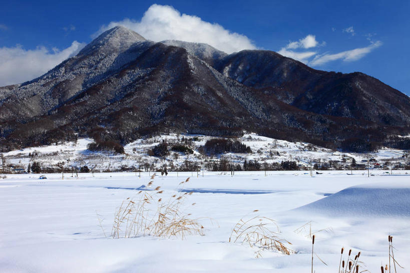 无人,横图,室外,白天,正面,旅游,度假,美景,山,雪,雪山,植物,大雪,长野县,日本,亚洲,阴影,枯萎,光线,影子,冰,积雪,景观,山峰,雪景,云,云朵,冬季,冬天,枯草,山峦,云彩,娱乐,草,黄色,蓝色,白云,蓝天,天空,阳光,自然,天,享受,休闲,景色,放松,寒冷,晴朗,冰冷,自然风光,东亚,本州,本州岛,日本国,中部地方,长野,严寒,冰凉,酷寒,凛冽,凛凛,极冷,晴空,彩图,饭山市