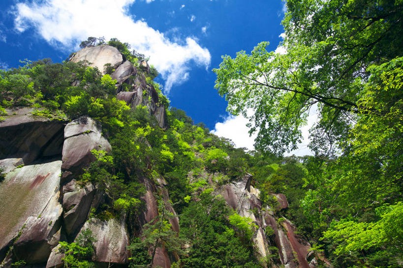 无人,横图,室外,白天,仰视,旅游,度假,石头,美景,树林,植物,日本,亚洲,阴影,光线,石子,影子,景观,悬崖,云,云朵,云彩,娱乐,树,树木,蓝色,绿色,白云,蓝天,天空,阳光,自然,天,享受,休闲,景色,放松,生长,晴朗,成长,自然风光,东亚,本州,本州岛,日本国,中部地方,山梨,山梨县,县厅,绝壁,石块,岩石,晴空,彩图,低角度拍摄,甲府,甲府市,升仙峡