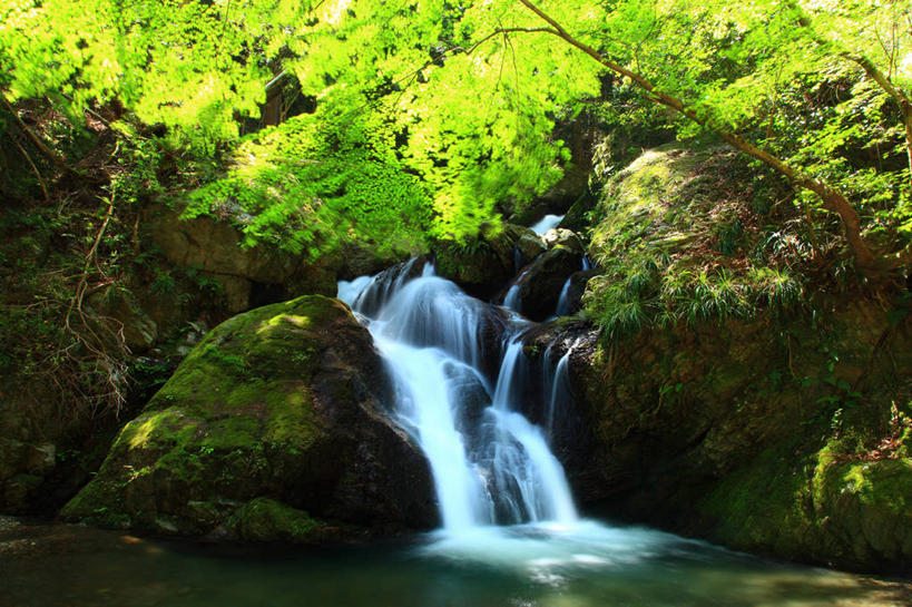 无人,横图,室外,白天,正面,旅游,度假,草地,草坪,湖,湖泊,美景,瀑布,水,植物,日本,亚洲,阴影,飞溅,溅,光线,液体,影子,湖面,景观,水滴,水流,水面,娱乐,水珠,草,树,树木,绿色,阳光,自然,湖水,享受,休闲,景色,放松,生长,成长,喷洒,自然风光,东亚,德岛县,日本国,四国地方,四国,四国岛,徳岛,跌水,彩图