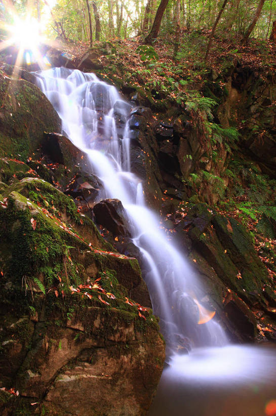 无人,竖图,室外,白天,正面,旅游,度假,草地,草坪,美景,瀑布,树林,水,植物,奈良县,日本,亚洲,阴影,飞溅,溅,光线,液体,影子,景观,水滴,娱乐,水珠,草,树,树木,绿色,阳光,自然,享受,休闲,景色,放松,生长,成长,喷洒,自然风光,东亚,本州,本州岛,日本国,近畿地方,奈良,近畿,跌水,彩图