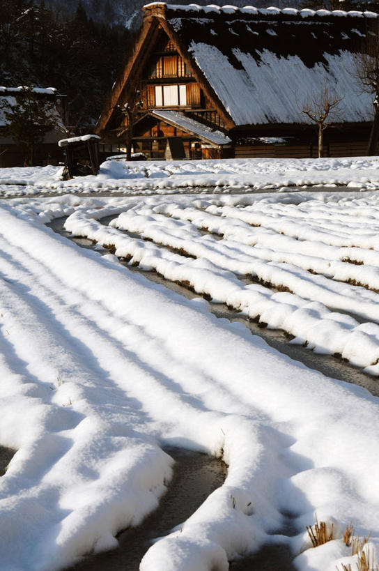 无人,家,木屋,农田,竖图,室外,夜晚,正面,旅游,度假,庄稼,农作物,美景,雪,雾,大雪,日本,亚洲,阴影,朦胧,模糊,光线,影子,积雪,景观,雪景,冬季,冬天,灯光,娱乐,住宅,自然,享受,休闲,景色,放松,寒冷,迷雾,自然风光,东亚,本州,本州岛,日本国,中部地方,岐阜,岐阜县,严寒,大雾,彩图,耕地,庄稼田,茅舍,茅屋,棚屋,小木屋,小屋,大野郡,白川村