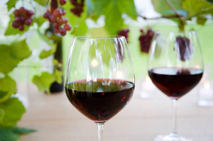 红酒,葡萄酒,无人,横图,室外,特写,白天,正面,餐桌,桌子,葡萄,杯子,水果,叶子,阴影,朦胧,模糊,新鲜,光线,高脚杯,影子,生食,食品,果实,绿叶,红酒杯,酒类,两杯,架子,玻璃制品,酒,食物,饮料,两个,阳光,酒杯,嫩叶,红葡萄酒,有机食品,绿色食品,餐台,支撑,固定,葡萄酒杯,葡萄架,叶,叶片,玻璃杯,山葫芦,蒲桃,草龙珠,彩图