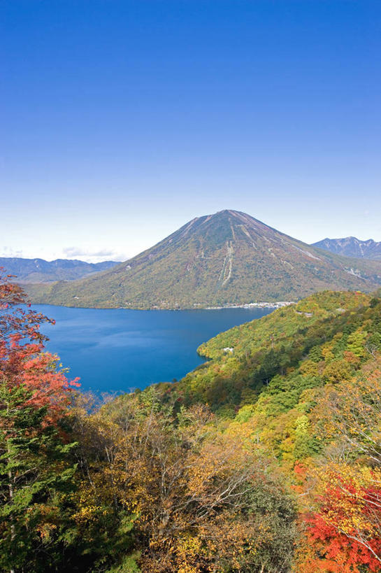 无人,竖图,室外,白天,正面,旅游,度假,湖,湖泊,美景,山,山脉,树林,水,植物,日本,亚洲,阴影,光线,影子,湖面,景观,山峰,水流,水面,枝条,山峦,娱乐,树,树木,树枝,蓝色,绿色,蓝天,天空,阳光,自然,湖水,群山,天,享受,休闲,景色,放松,生长,晴朗,成长,自然风光,东亚,本州,万里无云,关东地方,本州岛,日本国,栃木,栃木县,中禅寺湖,虬枝,枝杈,幸之湖,晴空,晴空万里,彩图