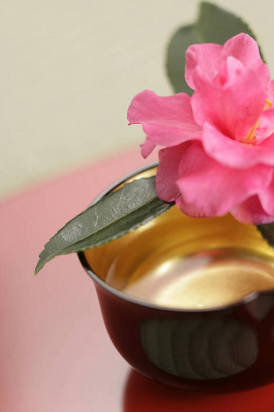 无人,竖图,俯视,室内,特写,白天,植物,叶子,阴影,节日,庆祝,盛开,反射,纹理,影子,陶瓷,绿叶,陶瓷制品,花蕾,文化,花,花瓣,花朵,鲜花,一朵,一个,粉色,绿色,容器,碗,花苞,花蕊,庆典,嫩叶,摄影,影棚,单个,纪念,储藏,储存,肌理,叶,叶片,叶脉,彩图,高角度拍摄,影棚拍摄,拍摄,日本新年,贮存