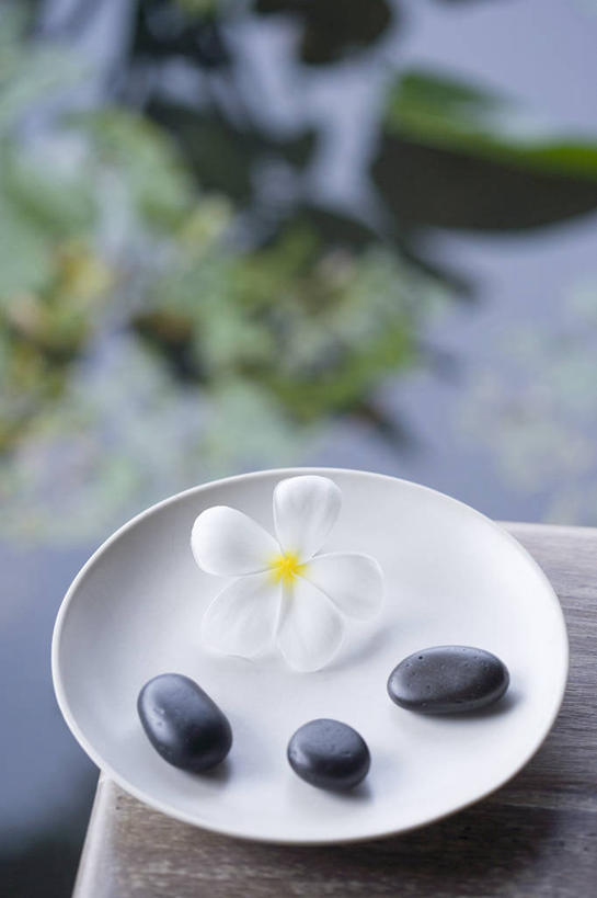 无人,竖图,俯视,室外,特写,白天,按摩,美容,石头,水,桌面,桌子,餐具,护肤,阴影,朦胧,模糊,盛开,反射,木制,碟子,盘,石子,液体,影子,木桌,池塘,水池,水滴,花蕾,赤素馨花,花,花瓣,花朵,鲜花,一朵,一个,白色,盘子,木制品,碟,花苞,花蕊,保养,享受,休闲,鹅卵石,放松,保健,单个,按摩石,养颜,缅栀子,蛋黄花,鸡蛋花,缅栀花,大季花,印度素馨,热石疗法,石块,彩图,高角度拍摄,木桌子