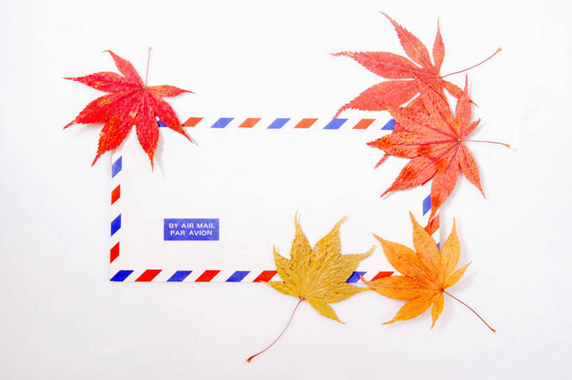 无人,横图,室内,特写,白天,白色背景,正面,叶子,传递,信息,邮件,枫叶,枯叶,落叶,联系,黄色,红色,联络,邮递,通信,摄影,影棚,信件,枫树叶,邮政,一封,叶,叶片,彩图,影棚拍摄,拍摄